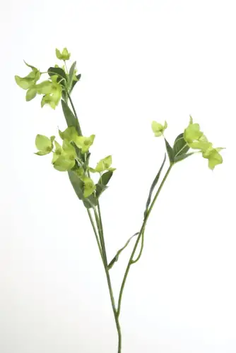 Crenguta cu flori artificiale Sierra, Fibre artificiale, Verde, 64 cm